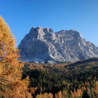 5 - Graziano Scotto di Clemente